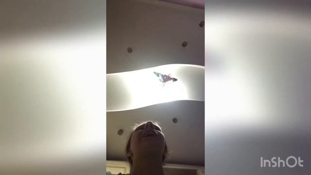 Лайфхаки как выучить текст по английскому смотреть онлайн