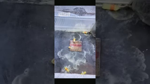 бутылки по лестнице бью смотреть онлайн