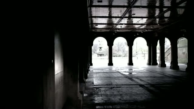 Alone in New-York смотреть онлайн