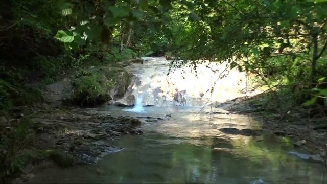 Дикий Сочи. Куры,горы и лесной ручей. Зубова Щель. смотреть онлайн