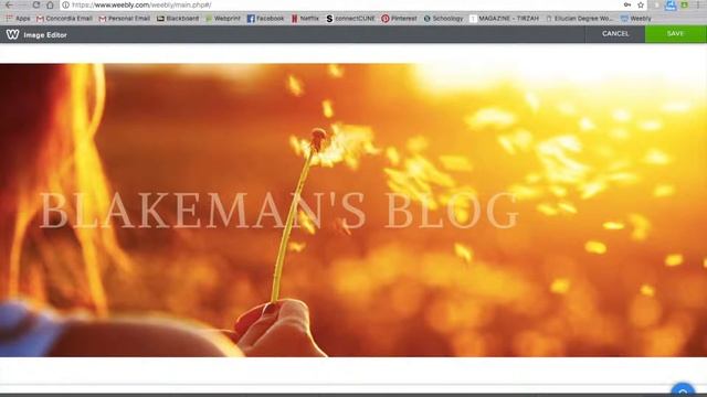 Darken Background Pictures on Weebly смотреть онлайн