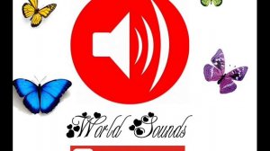 Дверной звонок звук