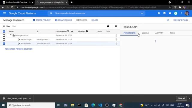 Cara Menggunakan Youtube API OAuth di Python Terbaru dan Work 100% !!! смотреть онлайн