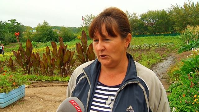 Школьники в Чигирях вырастили тыкву весом около 120 килограммов смотреть онлайн