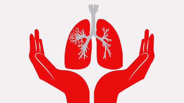 Какие сегодня праздники . 24 марта . смотреть онлайн