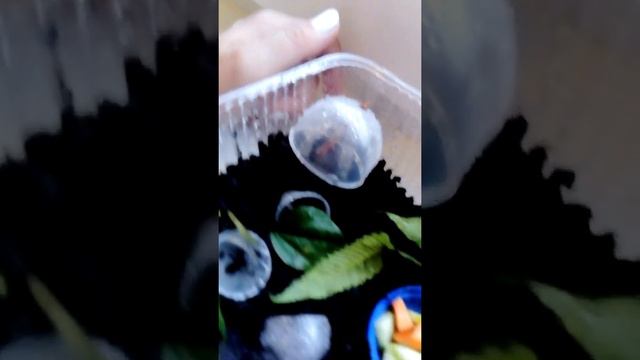Стиль для тех кто завёл слизня смотреть онлайн