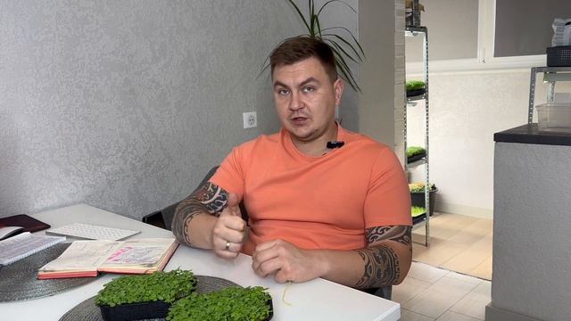 Как вырастить микрозелень. Советы, тонкости, нюансы. #микрозелень смотреть онлайн