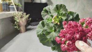 ТА История любви