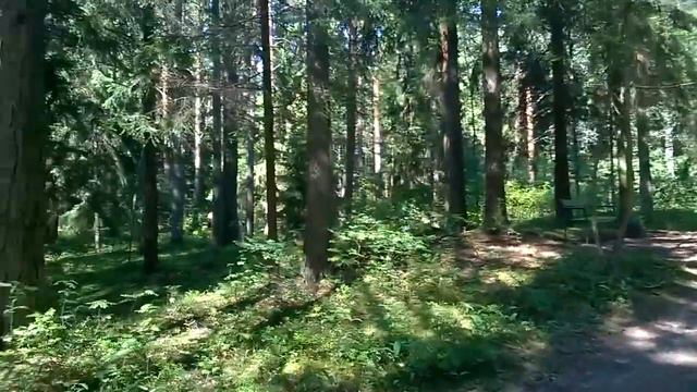 Репино. Пенаты. Repino. Penates. Дача Репина.3 смотреть онлайн