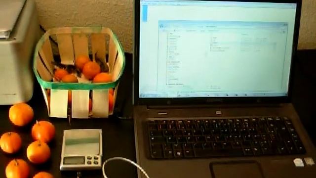 Electronic scale - interface PC смотреть онлайн