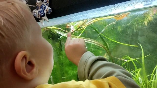 ПРОВЕЛИ СПОКОЙНЫЕ ДЕНЬКИ С РЕБЁНКОМ ПРОЩАНИЕ С ЛЕТОМ смотреть онлайн