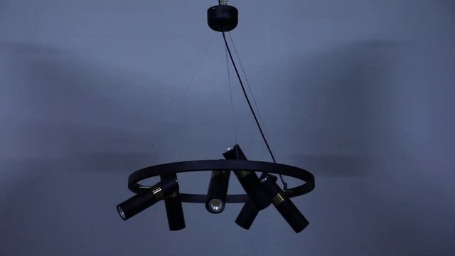 Подвесная люстра Favourite Light point 2997-6P смотреть онлайн