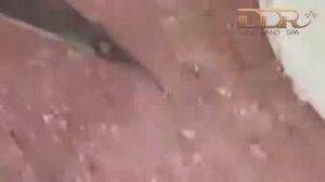 85.Relax Every Day With Loan Nguyen Spa DDR #01(4)