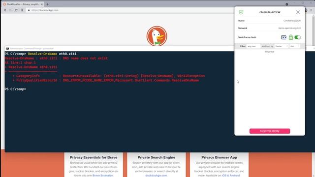 Private, Authenticated DNS via OpenZiti смотреть онлайн