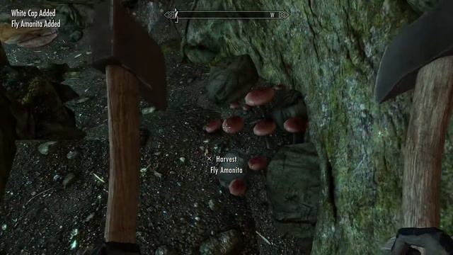 Skyrim Psychedelics - No Fast Travel! Skyrim Ep. 2.5
(gathering supplies) смотреть онлайн