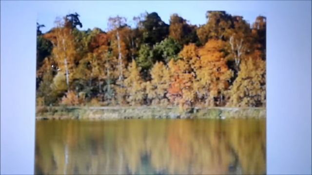 Ф.Тютчев Есть в осени первоначальной...