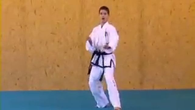ITF Taekwon-Do Patterns (9 of 14) Toi-Gae смотреть онлайн