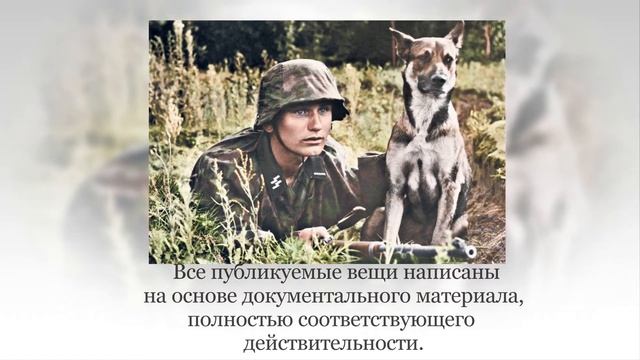 Конкурс буктрейлеров «О войне мне книга рассказала…» 2019-2020 учебный год. смотреть онлайн