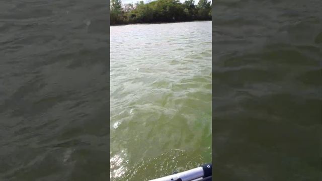 лодочный мотор своими руками винт 5л смотреть онлайн