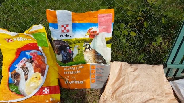 Немного про комбикорма для перепелов смотреть онлайн