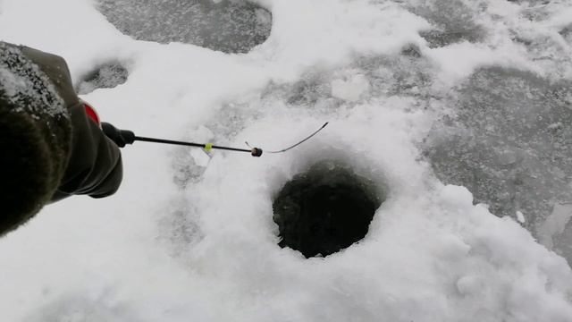 Всего четыре, но каких. смотреть онлайн