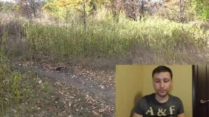 Клещ. Цикл развития клеща, ареал обитания. Клещи осенью