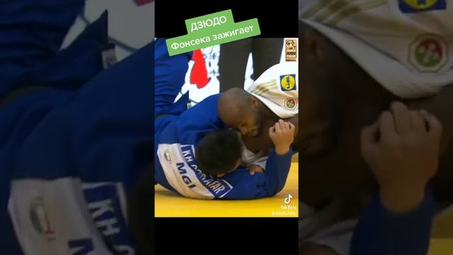 ? Фонсека зажигает. #дзюдо #judo #judoka #борьба #бросок #иппон смотреть онлайн