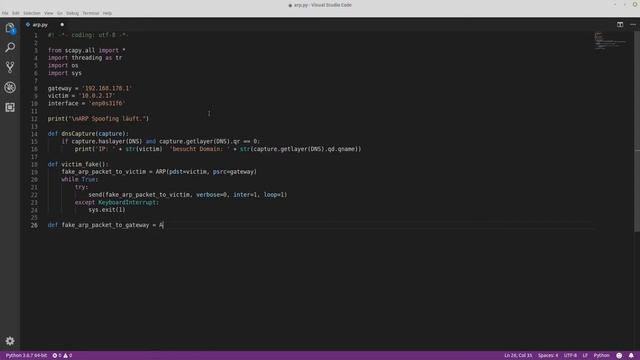 Netzwerk Traffic sniffen | man in the middle | Scapy | Python | смотреть онлайн