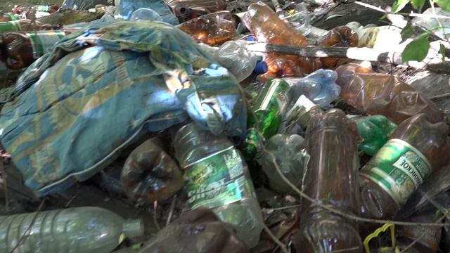 Акция Чистые Берега 05 06 18 смотреть онлайн