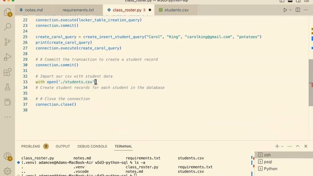 W5D3: Postgres in Python and CSVs (2 of 2) смотреть онлайн
