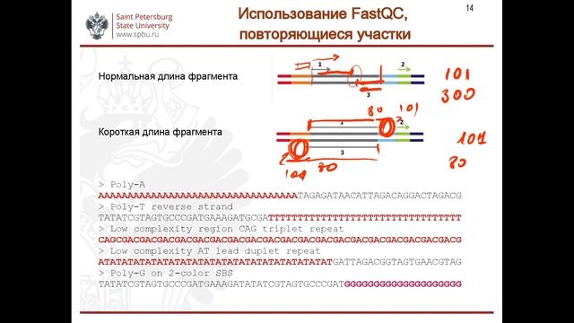 Анализ транскриптома немодельного объекта (рожь, Secale cereale) для начинающих. Семинар 2. смотреть онлайн
