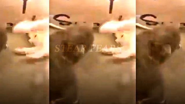 Muhammad Sumbul Edit смотреть онлайн