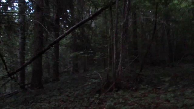 Городище Городайка д.Захново Печорского р-на смотреть онлайн