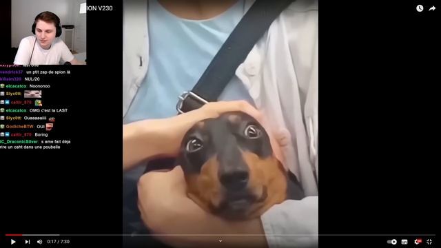 UNUSUAL MEMES COMPILATION V234 V231 V230 V229 - Pandore Reacts смотреть онлайн