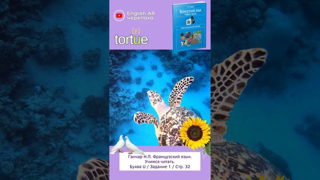 Ганчар Н.П. Французский язык. Учимся читать. Задание U #французскийдлядетей #французскийсвинсентом смотреть онлайн