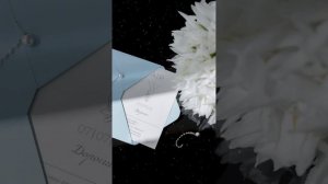 Нежная свадьба