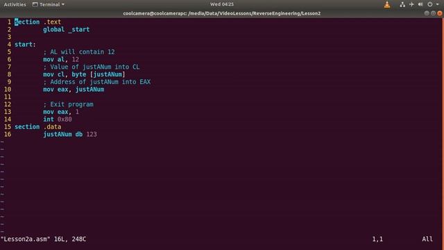 Reverse Engineering | Getting Started With NASM And DDD | Beginners смотреть онлайн