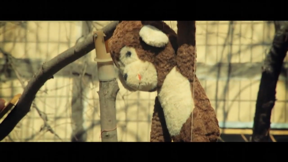 Типси Тип - Родословная