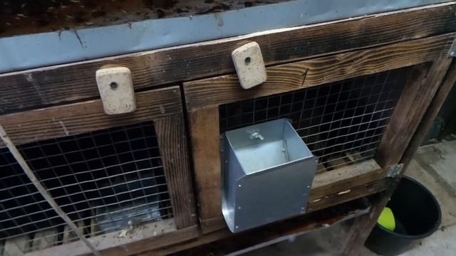 Двери и полы для кроликов смотреть онлайн