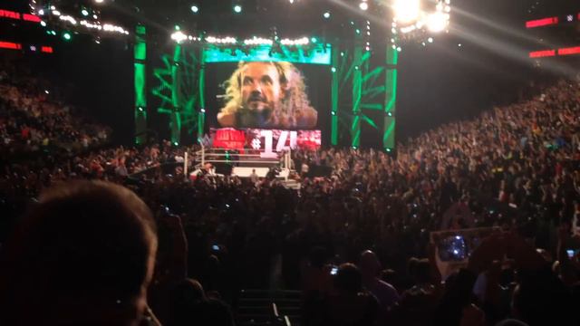 DIAMOND DALLAS PAGE ENTRANCE AT ROYAL RUMBLE 2015