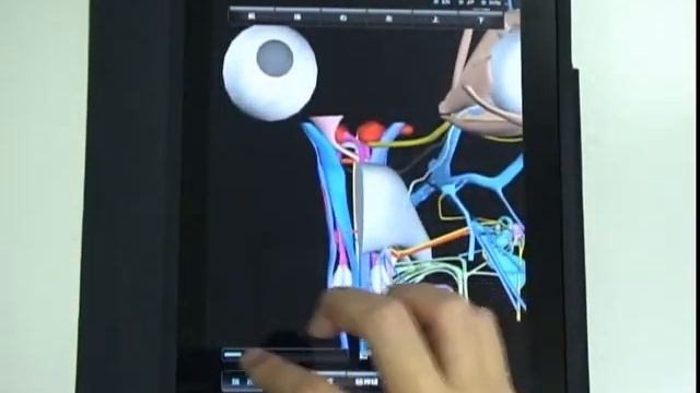 3D head iPad Appli.wmv смотреть онлайн