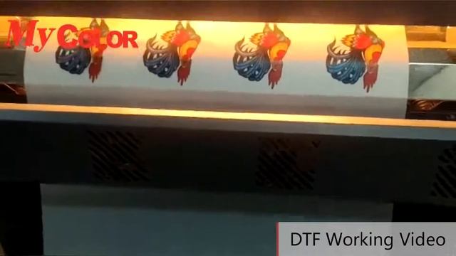 AUDLEY /MYCOLOR factory new products DTF printer for T shirt /fabric ,Replace DTG printer смотреть онлайн