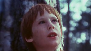 Тайна, цвета апельсина(песня из к/ф "Рыжий, честный, влюблённый")