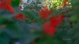 ГУЛОМЖОН ЕКУБОВ  ВАХОБОВ АБДУЖАББОР АНДИЖОН