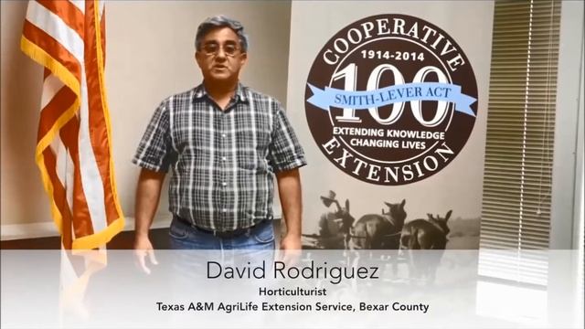 AgriLife Extension Bexar County Short Version смотреть онлайн