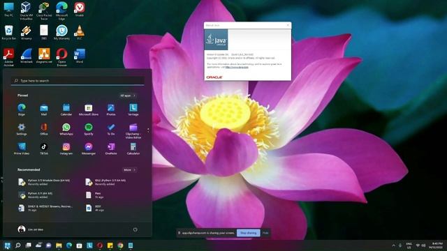Check Java Version (2 Methods) смотреть онлайн
