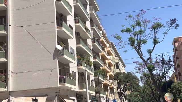 Устрицы даром. Дары моря на местном рынке .