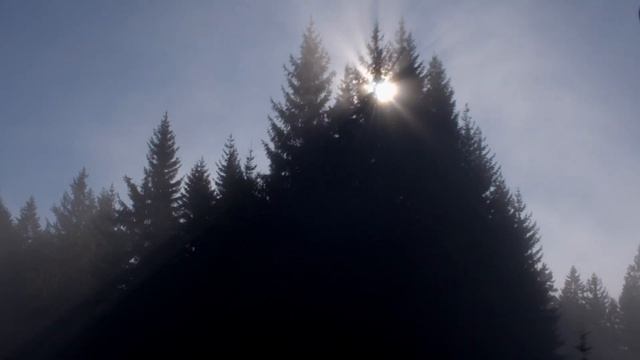 Primož Roglič: Rogla #ifeelsLOVEnia