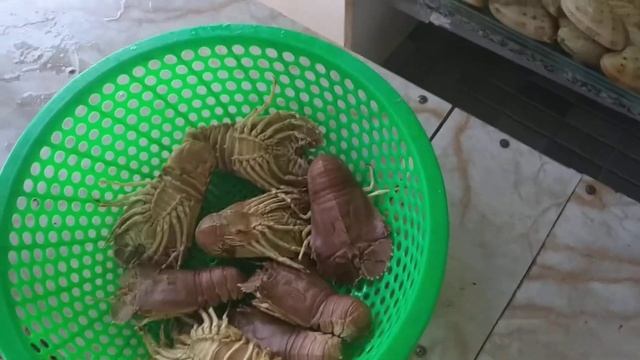 Едим морских гадов. Морепродукты в Муйне. Вьетнам.