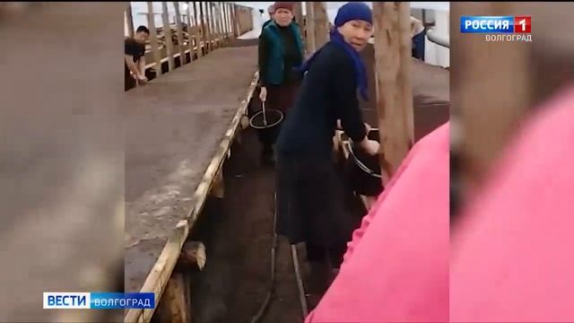 В Иловлинском районе прошел рейд по соблюдению миграционного законодательства смотреть онлайн